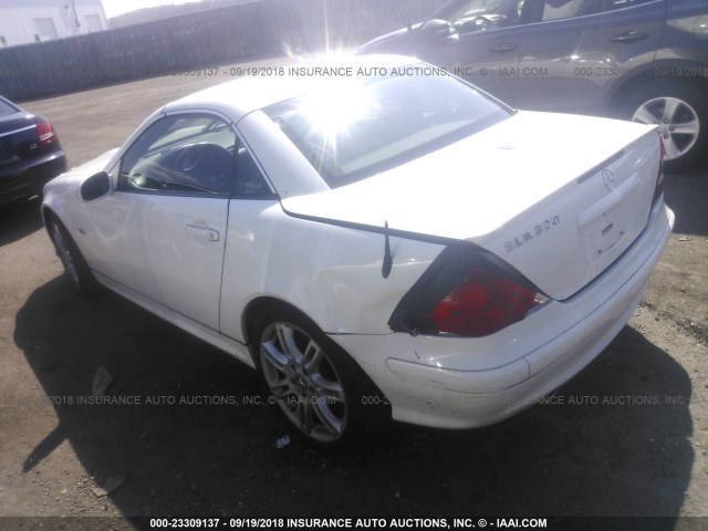 WDBKK65F14F308413 - 2004 MERCEDES-BENZ SLK 320 WHITE photo 3