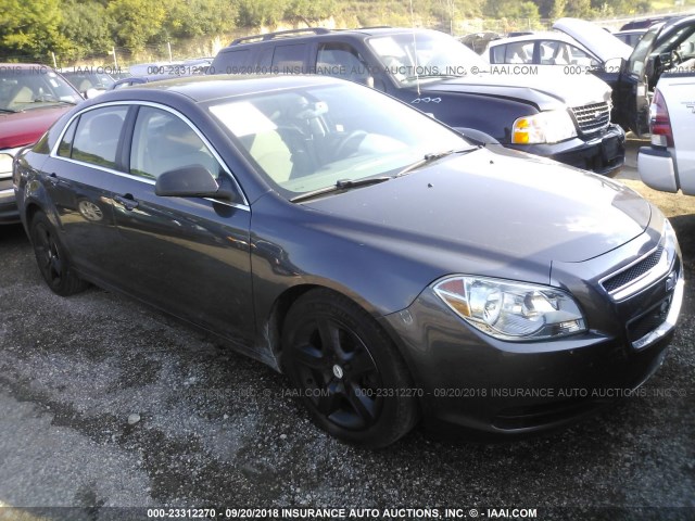 1G1ZB5E15BF303817 - 2011 CHEVROLET MALIBU LS Boz foto 1