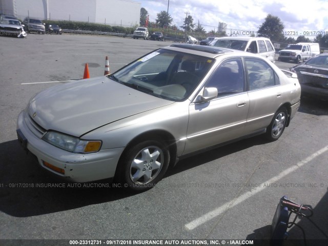 1HGCD5657RA041400 - 1994 HONDA ACCORD EX/EX-R GOLD photo 2