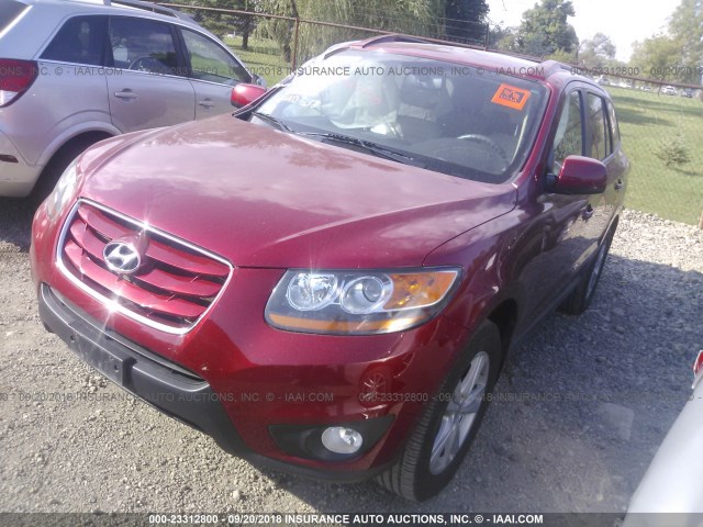 5XYZK4AG8BG013192 - 2011 HYUNDAI SANTA FE LIMITED RED photo 2