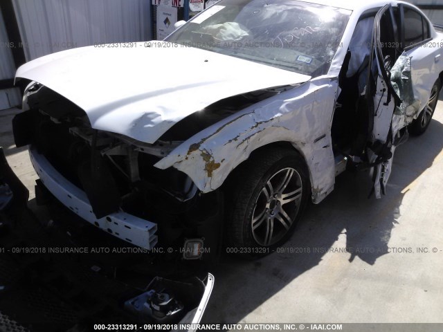2C3CDXCT8DH531842 - 2013 DODGE CHARGER R/T WHITE photo 6