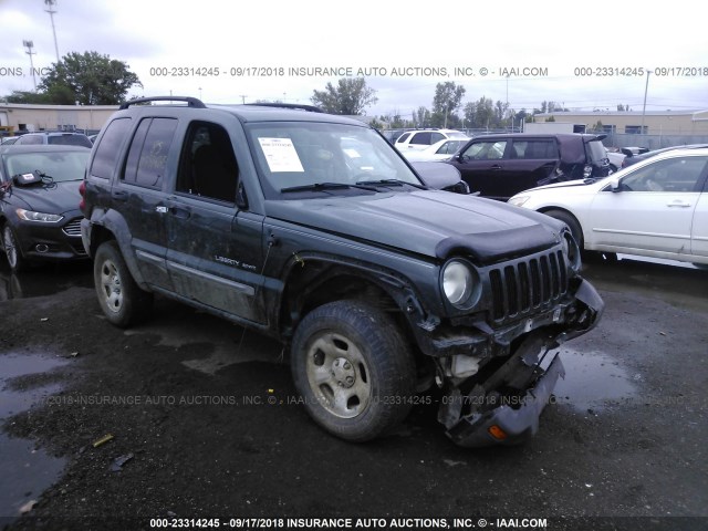 1J4GL48K63W562662 - 2003 JEEP LIBERTY SPORT/FREEDOM მწვანე ფოტო 6
