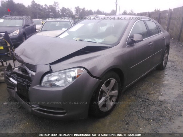1G1ZC5E1XBF213608 - 2011 CHEVROLET MALIBU 1LT GRAY photo 2