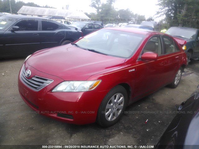 4T1BB46K07U030598 - 2007 TOYOTA CAMRY NEW GENERAT HYBRID RED photo 2