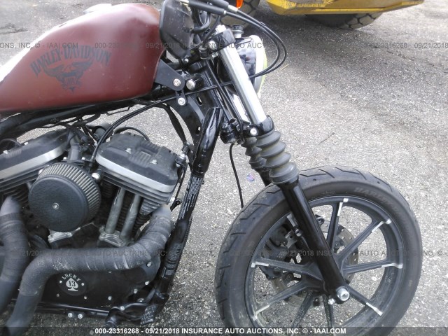 1HD4LE216HC421869 - 2017 HARLEY-DAVIDSON XL883 IRON 883 თაფლისფერი ფოტო 5