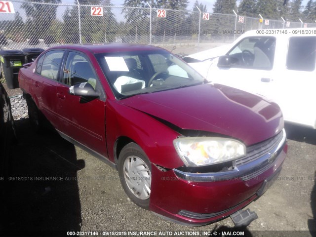 1G1ZT52825F316527 - 2005 CHEVROLET MALIBU LS BURGUNDY photo 1