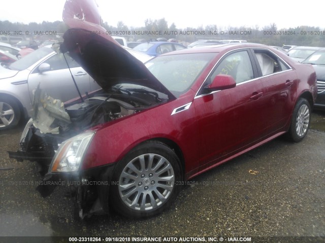 1G6DM5E35D0157795 - 2013 CADILLAC CTS PERFORMANCE COLLECTION MAROON photo 2