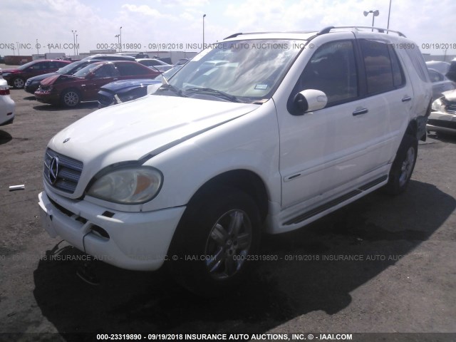 4JGAB75E15A551031 - 2005 MERCEDES-BENZ ML 500 WHITE photo 2