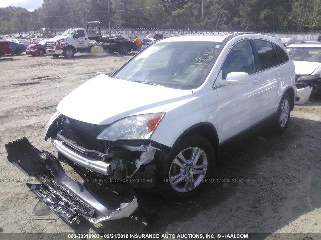 5J6RE3H75BL006402 - 2011 HONDA CR-V EXL WHITE photo 2