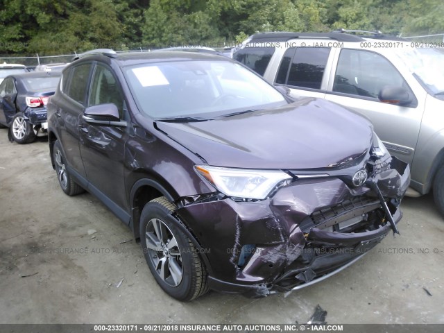 2T3RFREV0JW743155 - 2018 TOYOTA RAV4 ADVENTURE/XLE PURPLE photo 1
