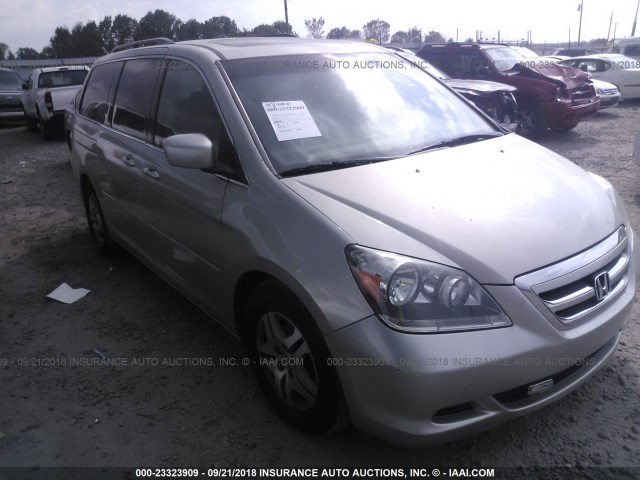 5FNRL38735B055066 - 2005 HONDA ODYSSEY EXL Champagne photo 1