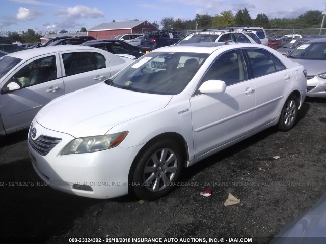 JTNBB46K073010082 - 2007 TOYOTA CAMRY NEW GENERAT HYBRID WHITE photo 2