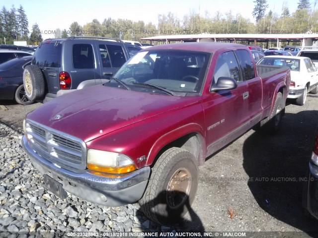 1B7GG22Y6XS235056 - 1999 DODGE DAKOTA MAROON photo 2