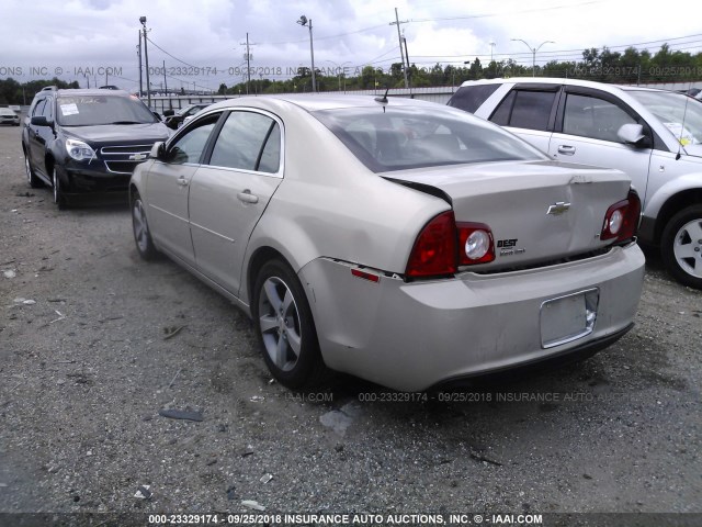 1G1ZJ57B59F215031 - 2009 CHEVROLET MALIBU 2LT GOLD photo 3