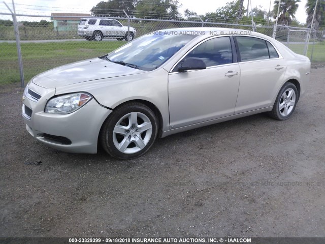1G1ZB5EB1AF117392 - 2010 CHEVROLET MALIBU LS 棕色 照片 2