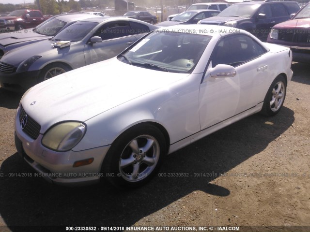 WDBKK65F81F172745 - 2001 MERCEDES-BENZ SLK 320 WHITE photo 2