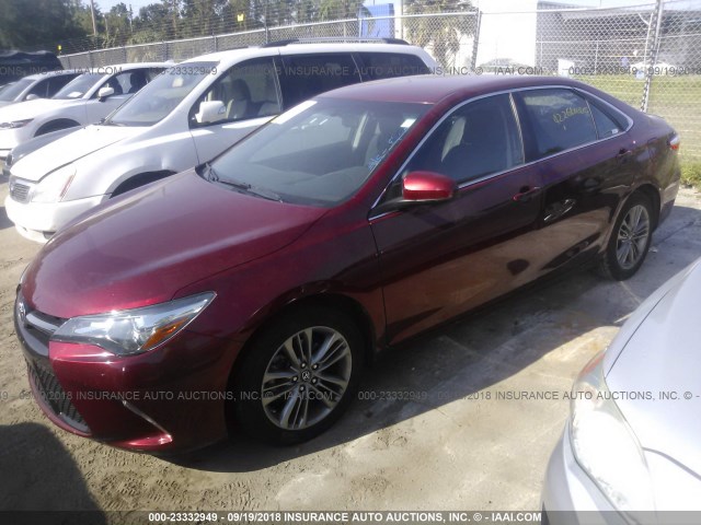 4T1BF1FK3HU733813 - 2017 TOYOTA CAMRY LE/XLE/SE/XSE RED photo 2
