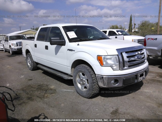 1FTFW1CF2BFB58421 - 2011 FORD F150 SUPERCREW WHITE photo 1