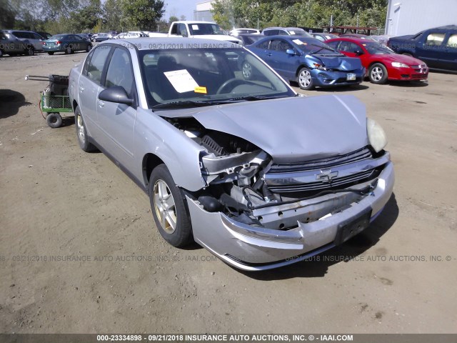 1G1ZT54865F248374 - 2005 CHEVROLET MALIBU LS GRAY photo 1