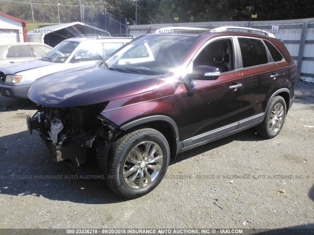 5XYKU4A23BG069914 - 2011 KIA SORENTO EX BURGUNDY photo 2