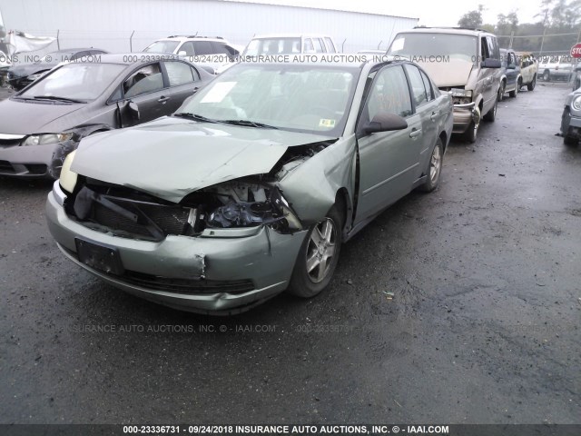 1G1ZT52814F177196 - 2004 CHEVROLET MALIBU LS მწვანე ფოტო 2