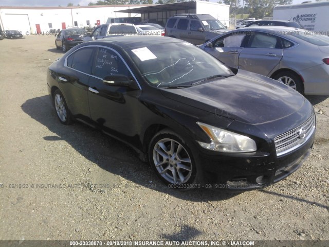 1N4AA5AP6BC863533 - 2011 NISSAN MAXIMA S/SV BLACK photo 1