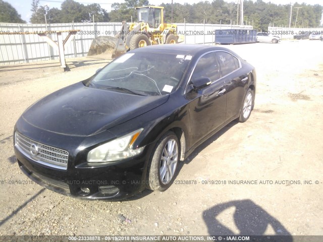 1N4AA5AP6BC863533 - 2011 NISSAN MAXIMA S/SV BLACK photo 2