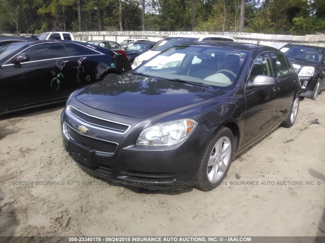 1G1ZB5EB4AF307560 - 2010 CHEVROLET MALIBU LS Boz foto 2