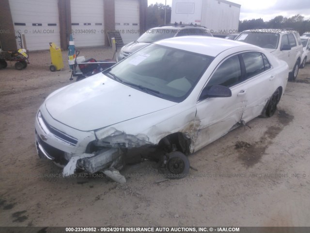 1G1ZB5EB5AF170998 - 2010 CHEVROLET MALIBU LS Ağ foto 2