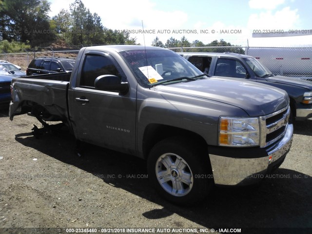 1GCNKPEXXDZ202473 - 2013 CHEVROLET SILVERADO K1500 SILVER photo 1