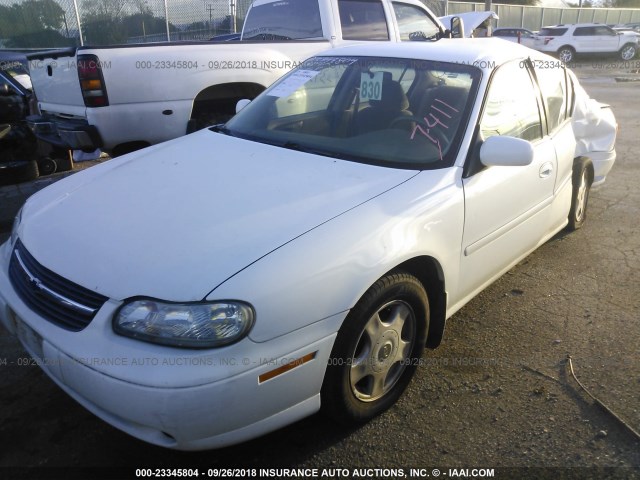 1G1NE52J41M667411 - 2001 CHEVROLET MALIBU LS Ağ foto 2