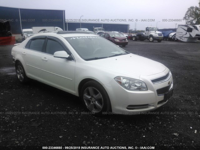 1G1ZC5E1XBF273288 - 2011 CHEVROLET MALIBU 1LT 白色 照片 1