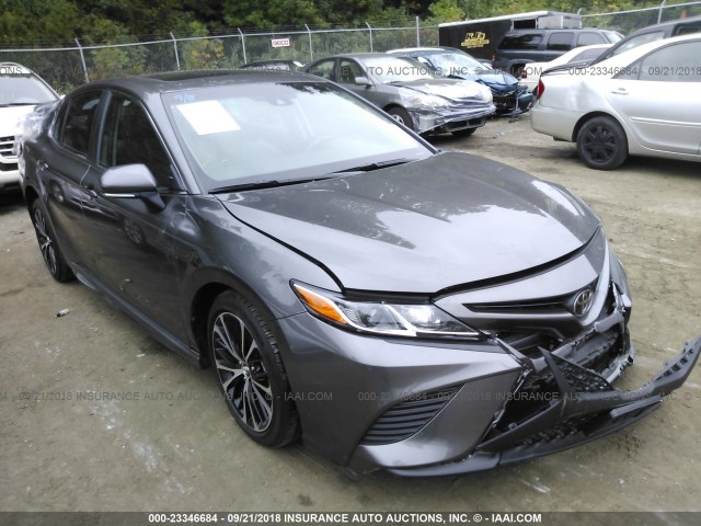 4T1B11HKXJU046863 - 2018 TOYOTA CAMRY L/LE/XLE/SE/XSE GRAY photo 1