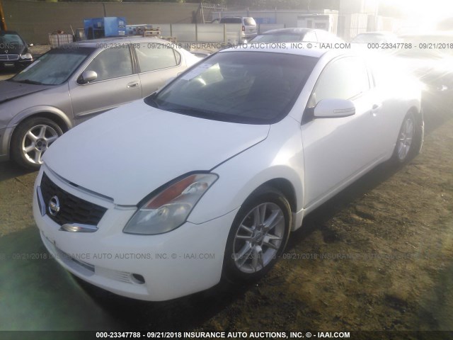 1N4BL24E58C227069 - 2008 NISSAN ALTIMA 3.5SE WHITE photo 2