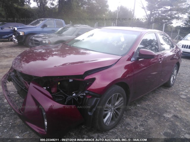 4T1BF1FK7FU924924 - 2015 TOYOTA CAMRY LE/XLE/SE/XSE RED photo 2