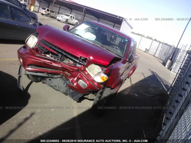 5TBBT481X2S314381 - 2002 TOYOTA TUNDRA ACCESS CAB LIMITED RED photo 2