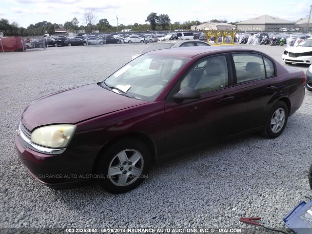 1G1ZT52825F249430 - 2005 CHEVROLET MALIBU LS Qırmızı foto 2