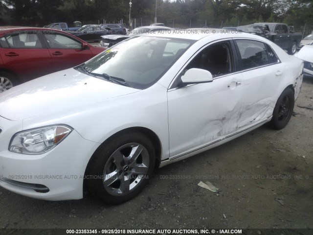 1G1ZC5E06AF185814 - 2010 CHEVROLET MALIBU 1LT WHITE photo 2