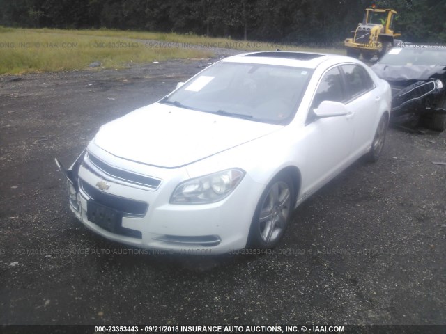 1G1ZH57B59F245030 - 2009 CHEVROLET MALIBU 1LT თეთრი ფოტო 2