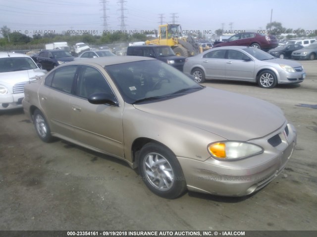 1G2NF52E04C210777 - 2004 PONTIAC GRAND AM SE1 GOLD photo 1