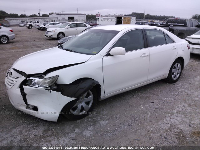 4T4BE46K09R089330 - 2009 TOYOTA CAMRY SE/LE/XLE თეთრი ფოტო 2