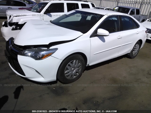 4T1BF1FK6GU116193 - 2016 TOYOTA CAMRY LE/XLE/SE/XSE 白色 照片 2