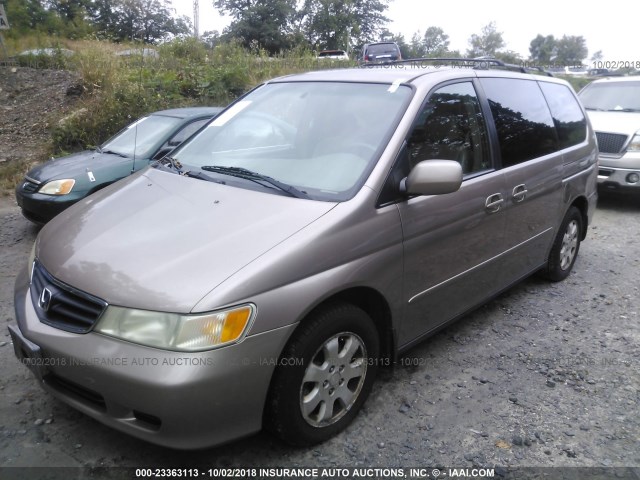 5FNRL18083B120272 - 2003 HONDA ODYSSEY EXL GOLD photo 2