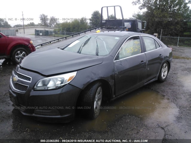 1G11A5SA6DF177071 - 2013 CHEVROLET MALIBU LS ნაცრისფერი ფოტო 2