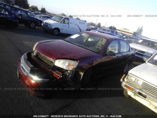 1G1ZT52855F310088 - 2005 CHEVROLET MALIBU LS ბურგუნდია ფოტო 2