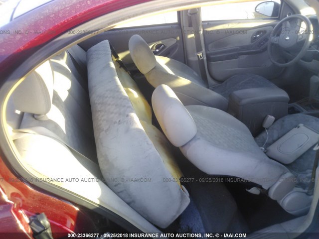 1G1ZT52855F310088 - 2005 CHEVROLET MALIBU LS ბურგუნდია ფოტო 8