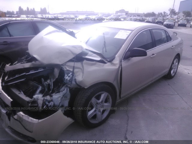 1G1ZB5E11BF114016 - 2011 CHEVROLET MALIBU LS Bej foto 2