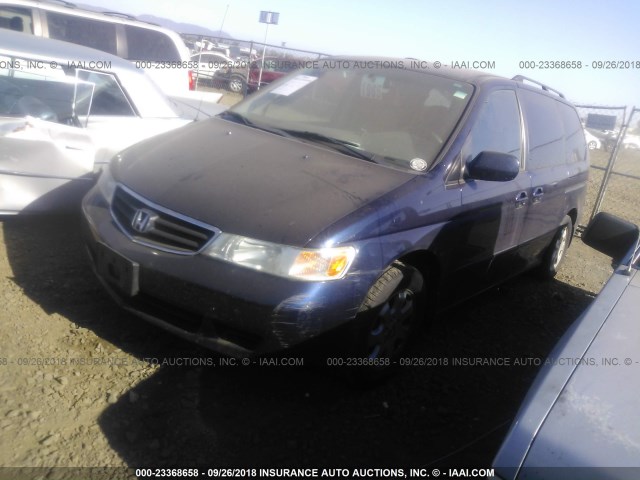 5FNRL18904B041355 - 2004 HONDA ODYSSEY BLUE photo 2