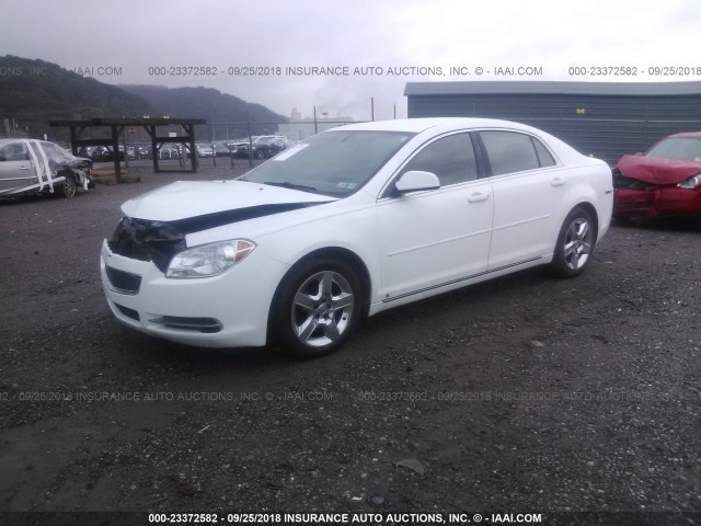 1G1ZH57BX94275202 - 2009 CHEVROLET MALIBU 1LT თეთრი ფოტო 2