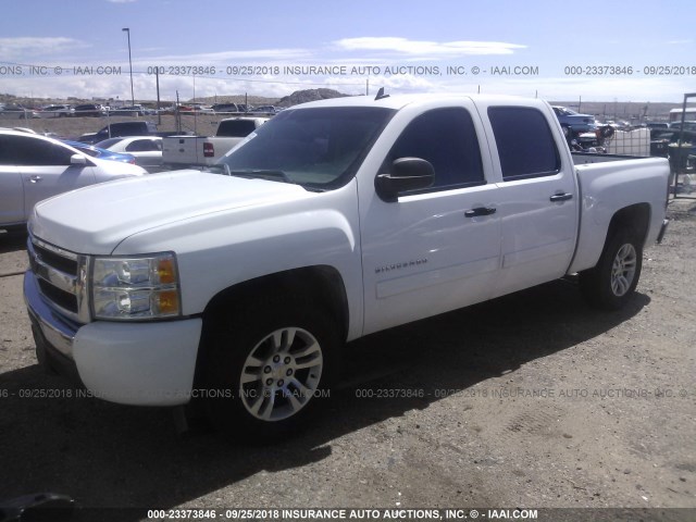 3GCEC13C49G138190 - 2009 CHEVROLET SILVERADO C1500/C1500  LS WHITE photo 2